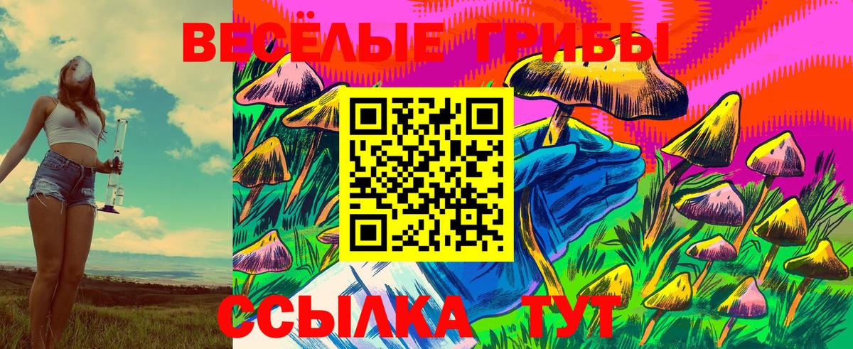 Галлюциногенные грибы Psilocybe  Галлюциногенные грибы GOLDEN TEACHER  Троицк  Вход с VPN 